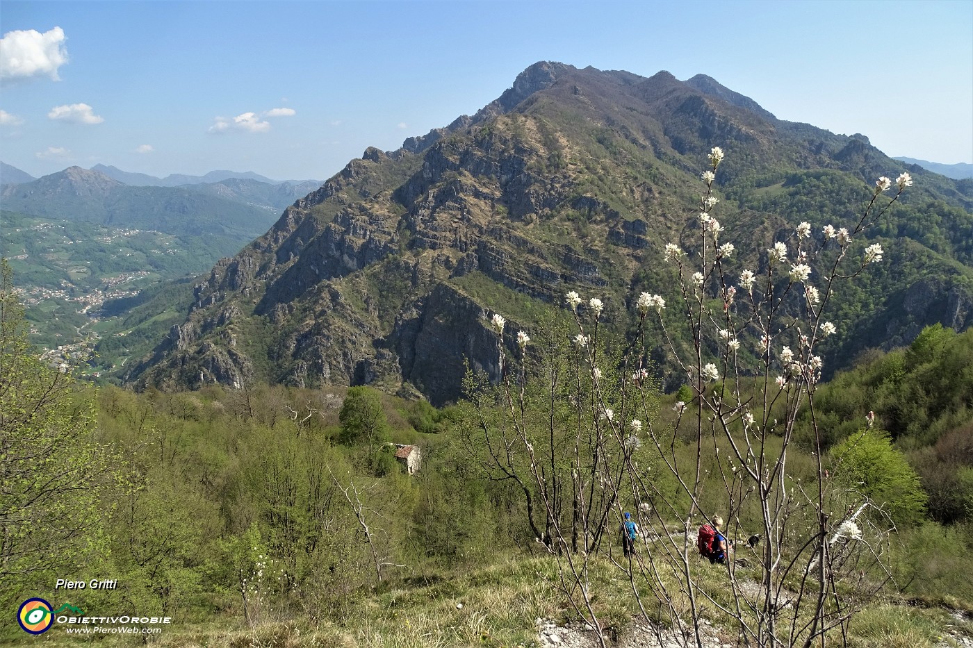 115 Fiori di pero corvino con vista in Sornadello.JPG